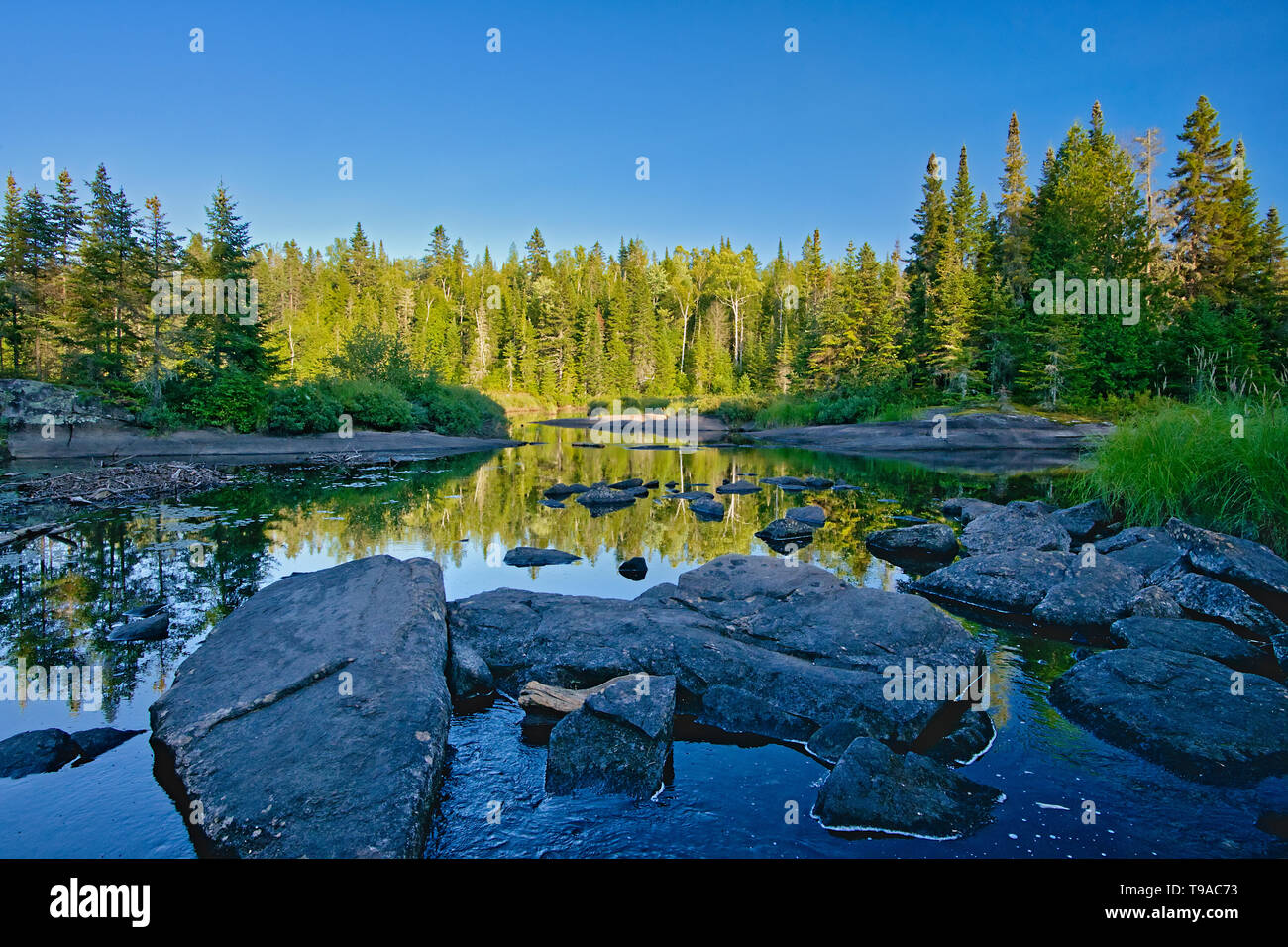 Ruisseau Bouchard Creek La Mauricie National Park Québec Canada Foto Stock