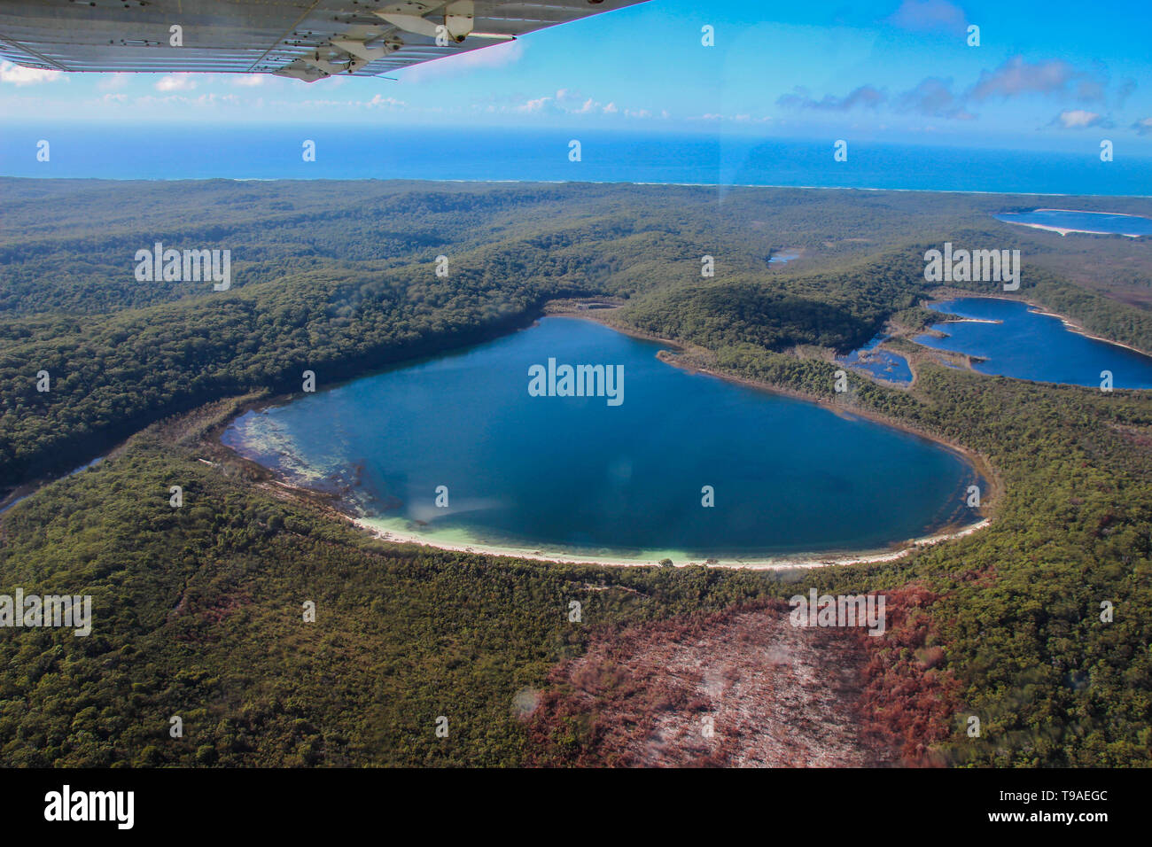 Lago Mckenzie su Fraser Island, la vista di un aereo Foto Stock