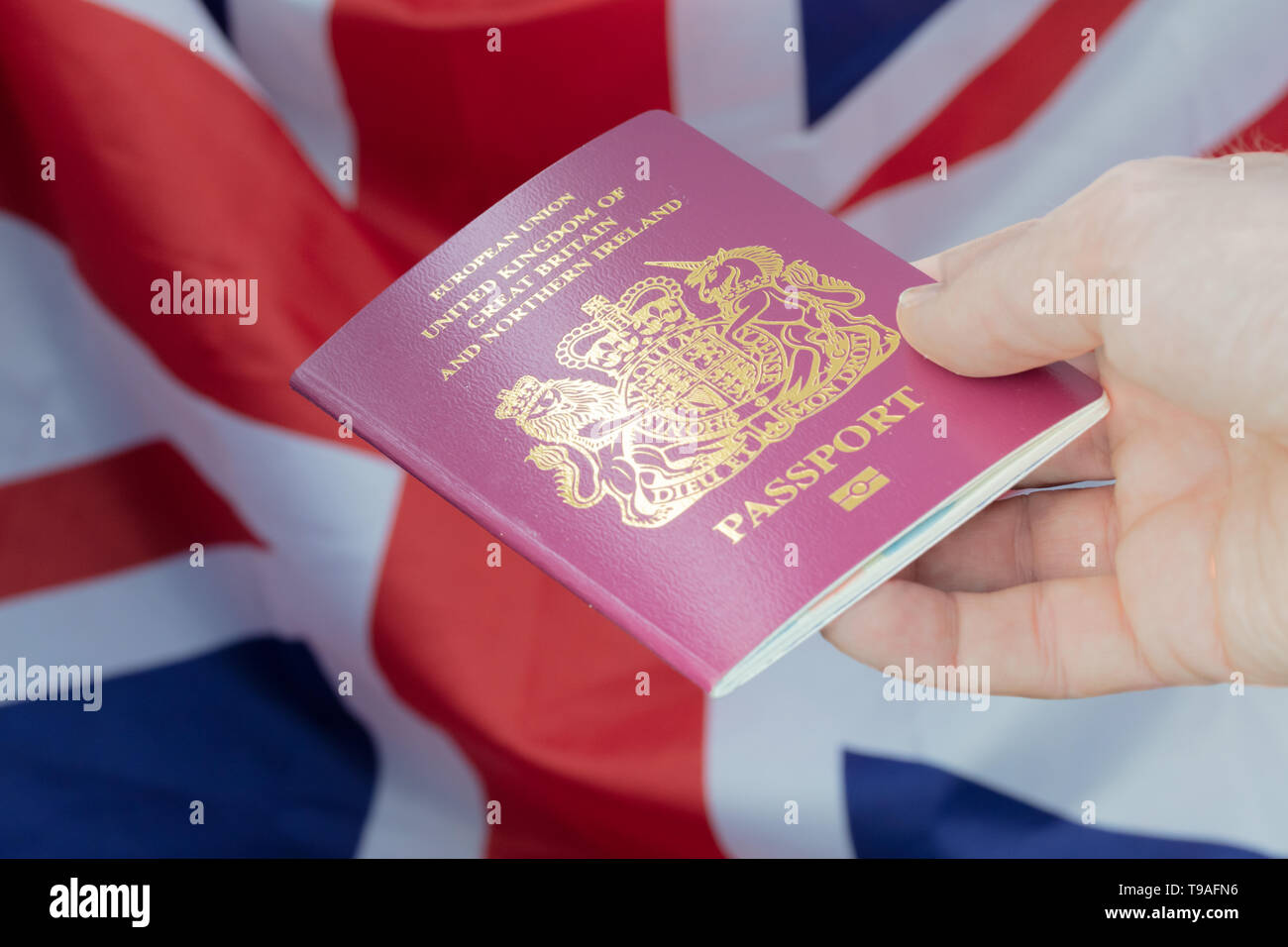 Mano di sesso maschile in possesso di un passaporto britannico contro una Unione Jack sfondo Foto Stock