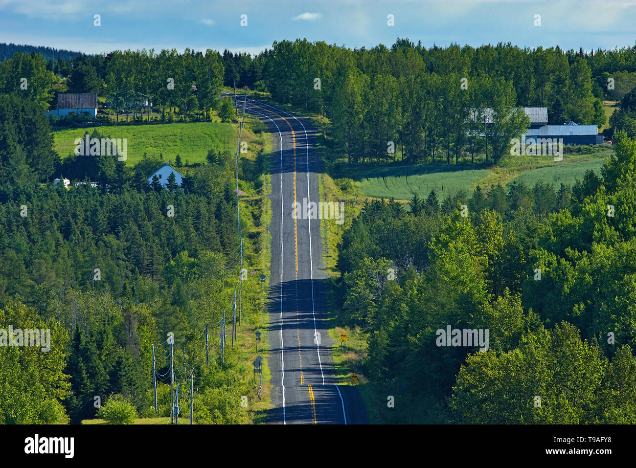 Ripide colline su autostrada Saint-Marcellin Québec Canada Foto Stock