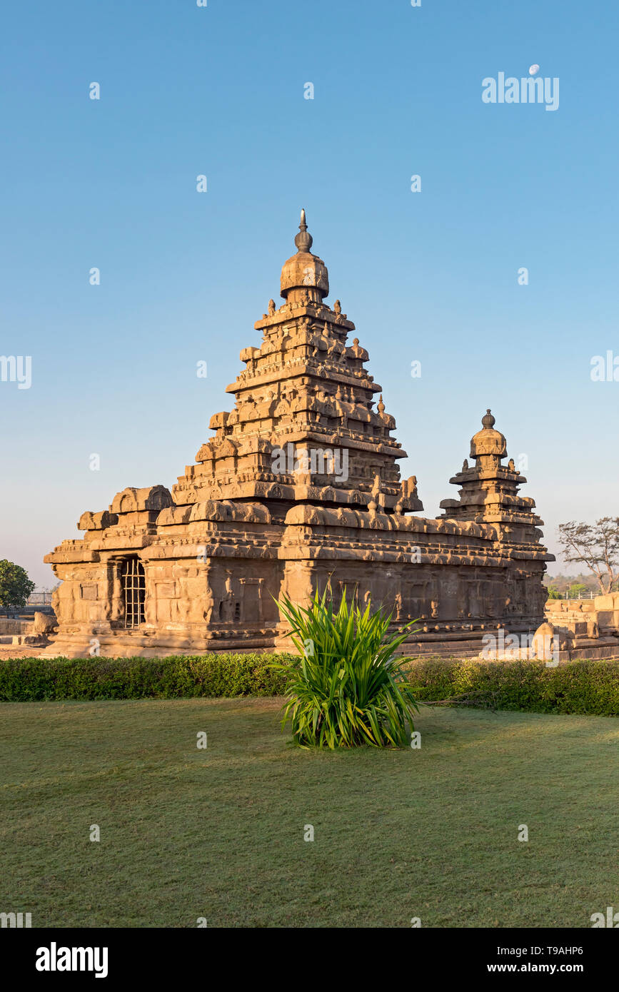 Tempio Shore, Mahabalipuram (Mamallapuram), India Foto Stock