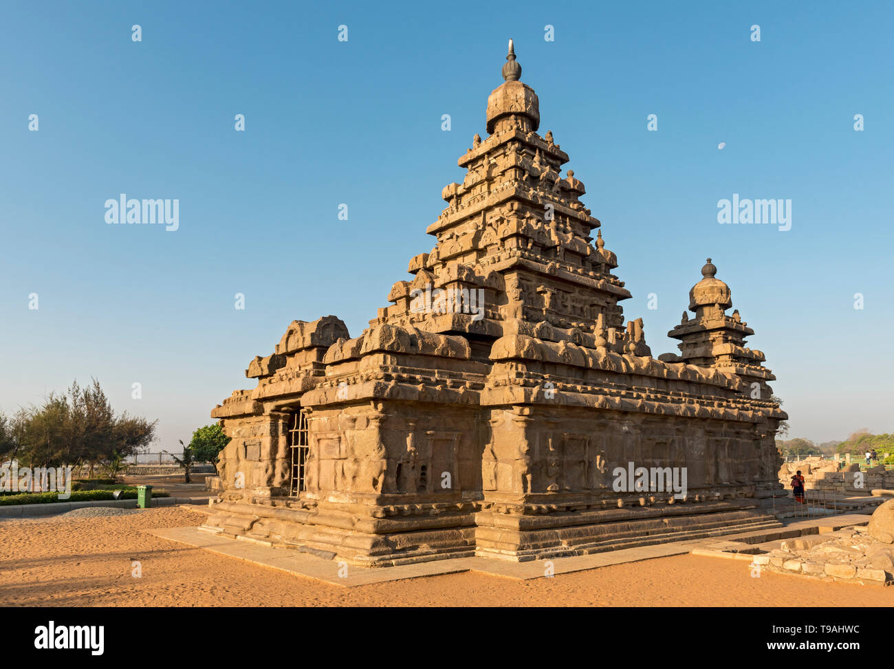 Tempio Shore, Mahabalipuram (Mamallapuram), India Foto Stock