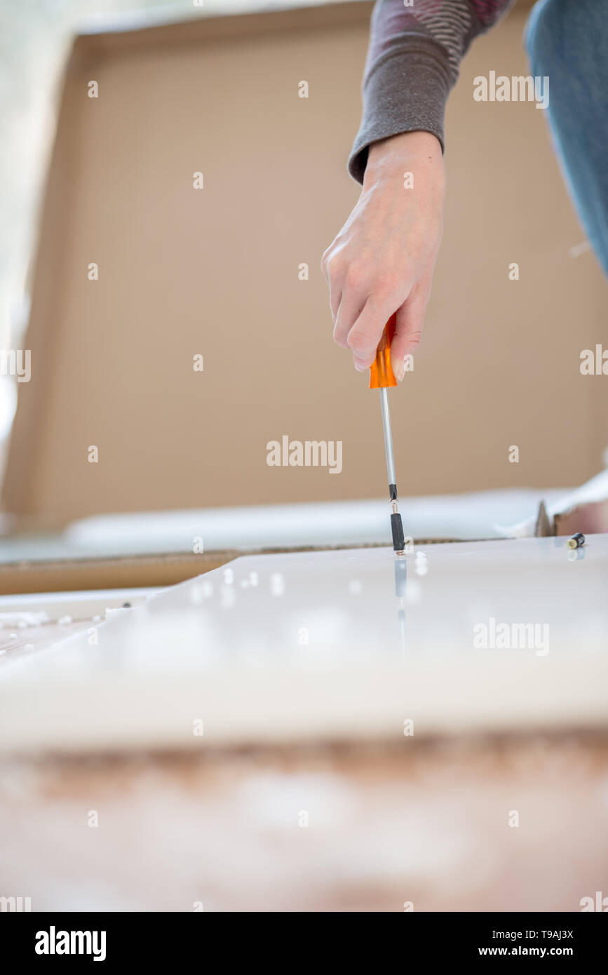 Primo piano delle mani femminili usando un cacciavite per assemblare un gruppo autonomo di mobili in un concetto di DIY. Foto Stock