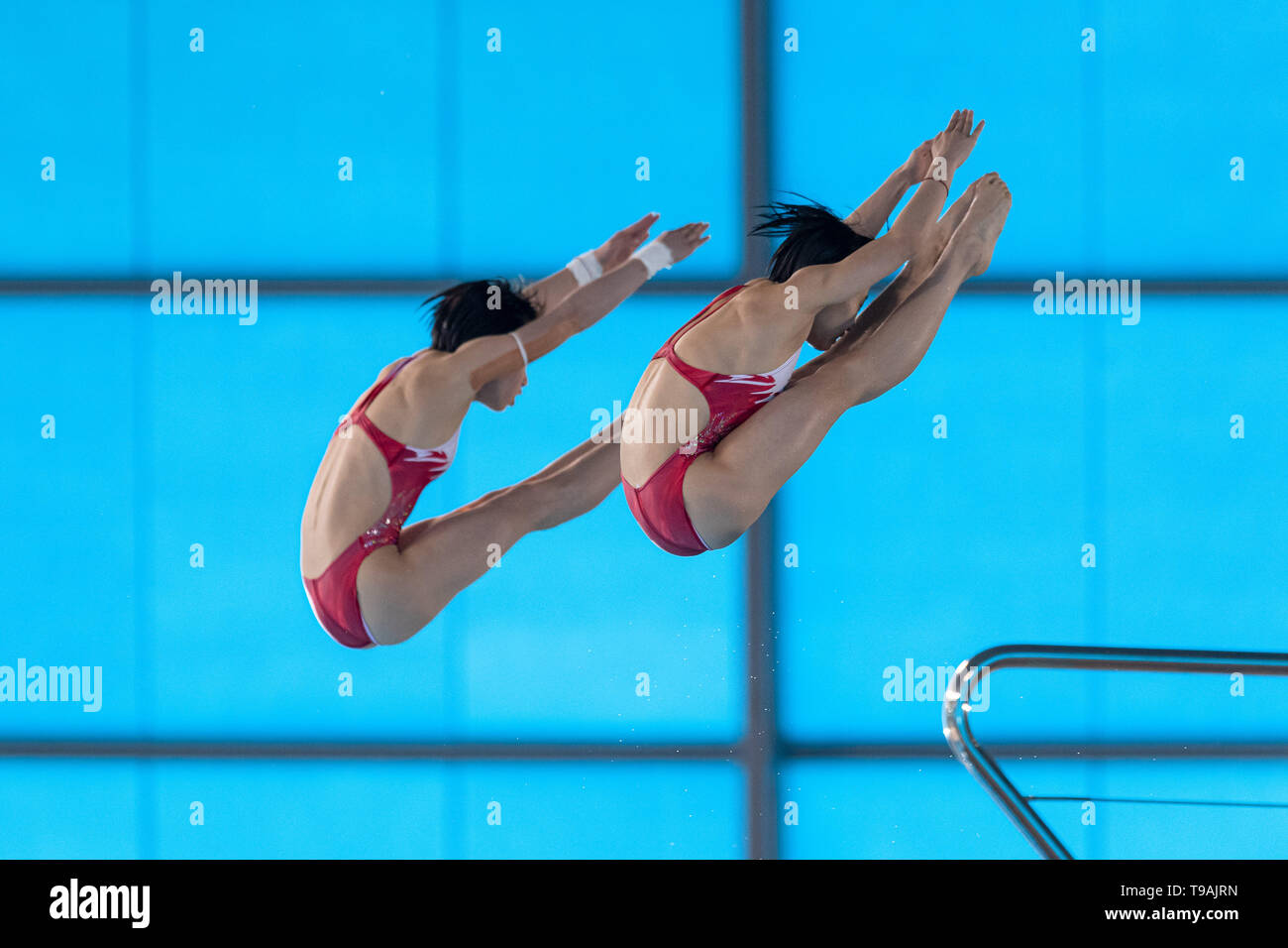 Londra, Regno Unito. Il 17 maggio 2019. Yuxi Chen Haoyan Yuan (CHN) competere in donne 10m Synchro Platform Finale durante la FINA/CNSG Diving World Series finale al London Aquatics Centre su Venerdì, 17 maggio 2019. Londra Inghilterra. Credito: Taka G Wu/Alamy Live News Foto Stock