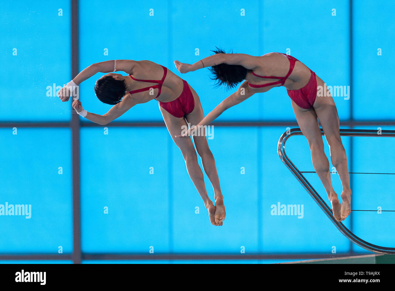 Londra, Regno Unito. Il 17 maggio 2019. Yuxi Chen Haoyan Yuan (CHN) competere in donne 10m Synchro Platform Finale durante la FINA/CNSG Diving World Series finale al London Aquatics Centre su Venerdì, 17 maggio 2019. Londra Inghilterra. Credito: Taka G Wu/Alamy Live News Foto Stock