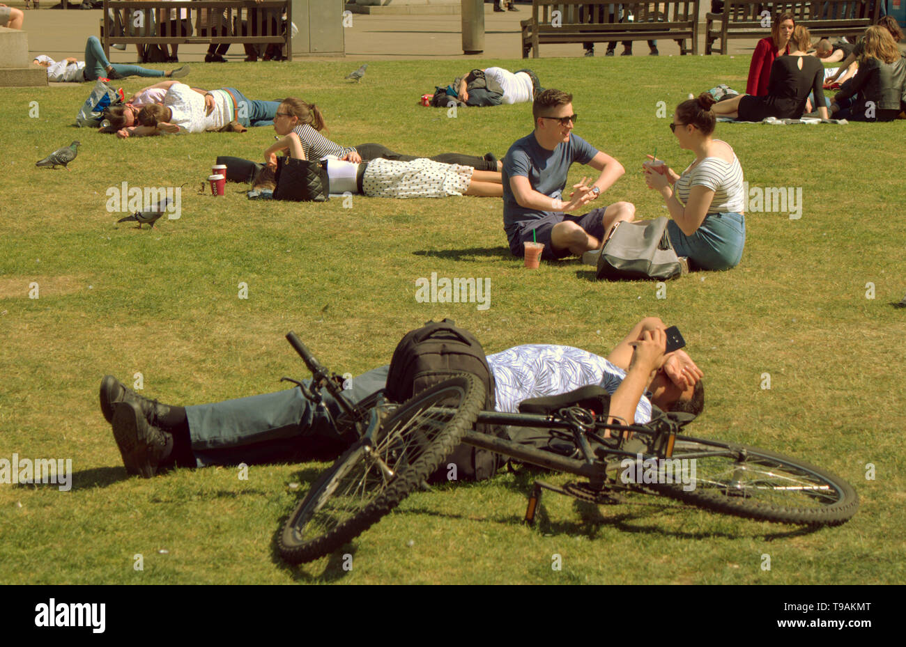 Glasgow, Scotland, Regno Unito, 17 maggio 2019, UK Meteo. Sunny scorcher di un giorno per la gente del posto e i turisti condividono l'erba con i piccioni nel centro civico della città George Square. Credito traghetto Gerard/Alamy Live News Foto Stock