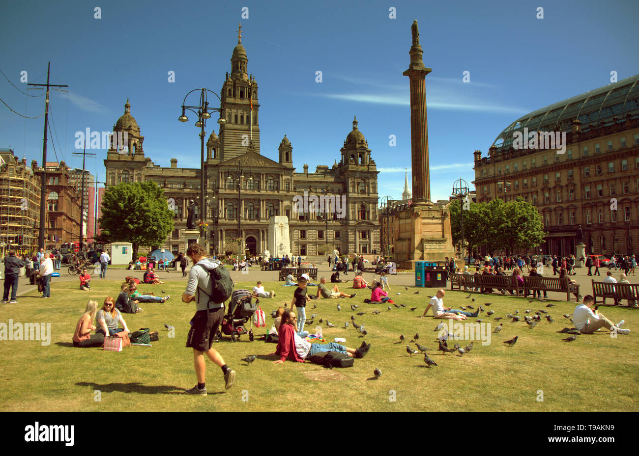 Glasgow, Scotland, Regno Unito, 17 maggio 2019, UK Meteo. Sunny scorcher di un giorno per la gente del posto e i turisti condividono l'erba con i piccioni nel centro civico della città George Square. Credito traghetto Gerard/Alamy Live News Foto Stock