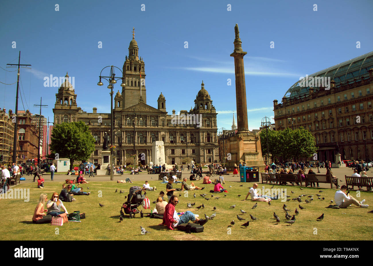 Glasgow, Scotland, Regno Unito, 17 maggio 2019, UK Meteo. Sunny scorcher di un giorno per la gente del posto e i turisti condividono l'erba con i piccioni nel centro civico della città George Square. Credito traghetto Gerard/Alamy Live News Foto Stock
