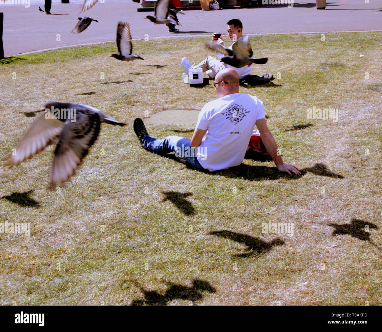 Glasgow, Scotland, Regno Unito, 17 maggio 2019, UK Meteo. Sunny scorcher di un giorno per la gente del posto e i turisti condividono l'erba con i piccioni nel centro civico della città George Square. Credito traghetto Gerard/Alamy Live News Foto Stock