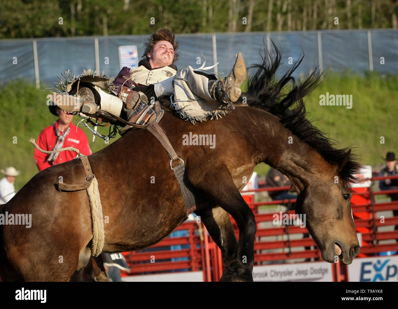 Surrey, Canada. Il 17 maggio 2019. Un cowboy compete in bareback riding evento durante la 73rd Cloverdale Invitational Rodeo nel Surrey, Canada, 17 maggio 2019. La Cloverdale Invitational Rodeo dispone di 96 world class cowboy e cowgirls dal Nord America di competere e di mostrare le loro capacità in questa quattro giorni rodeo evento. Credito: Liang Sen/Xinhua/Alamy Live News Foto Stock