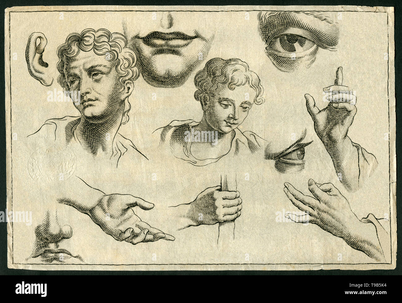 Europa, Deutschland, Medizin, Körperstudie Körperteile zeigt wie den Kopf, das Auge, das Ohr, den Mund und Hände , Kupferstich, um 1700, Künstler unbe Foto Stock