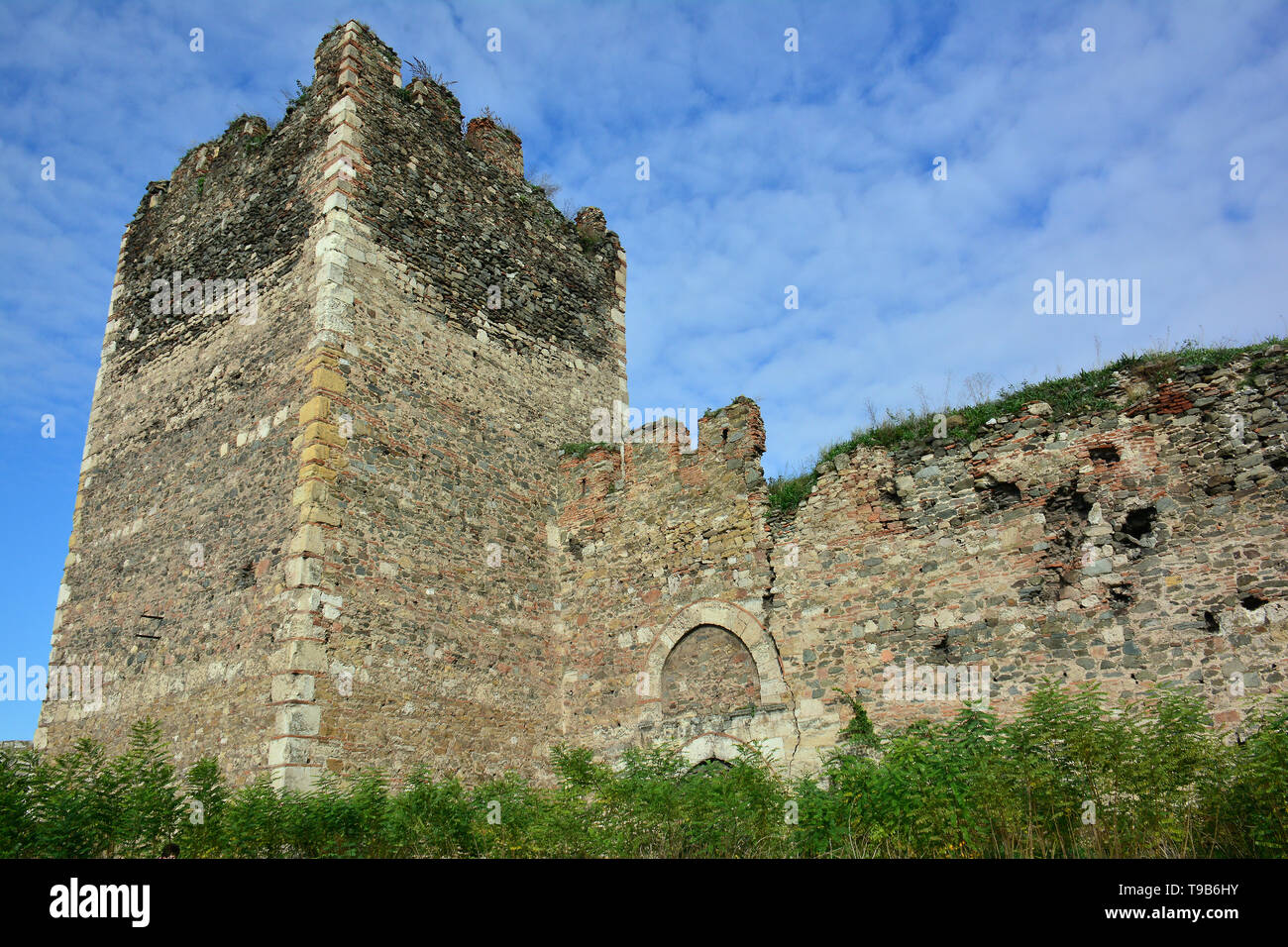 Fortezza medievale, Smederevo Szendrő, Serbia, Europa Foto Stock