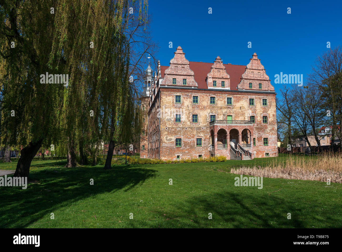 Castello di Polska Cerekiew, Polonia Foto Stock