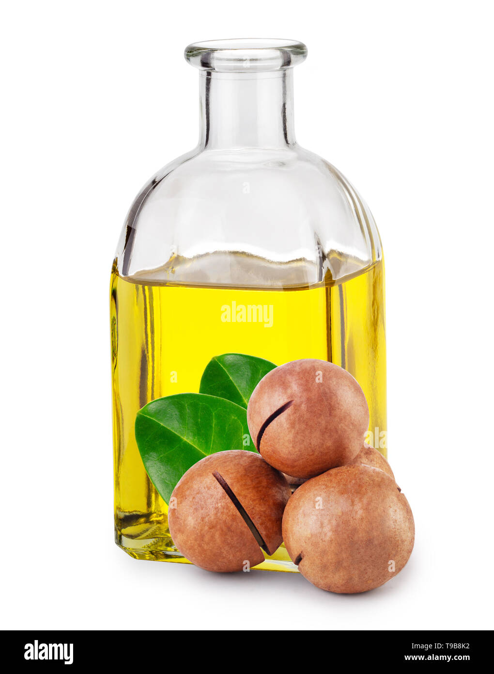 Olio di Macadamia in bottiglia e i dadi con foglie Foto Stock