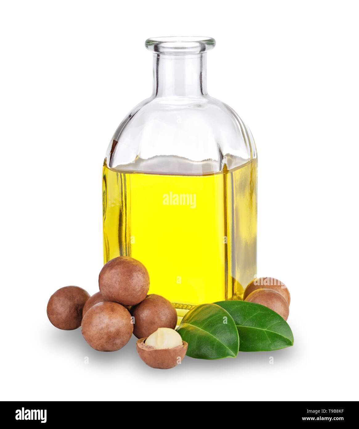 Olio di Macadamia in bottiglia e dadi Foto Stock