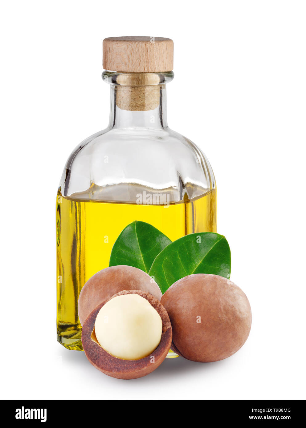 Olio di Macadamia in bottiglia quadrata e i dadi con foglie Foto Stock