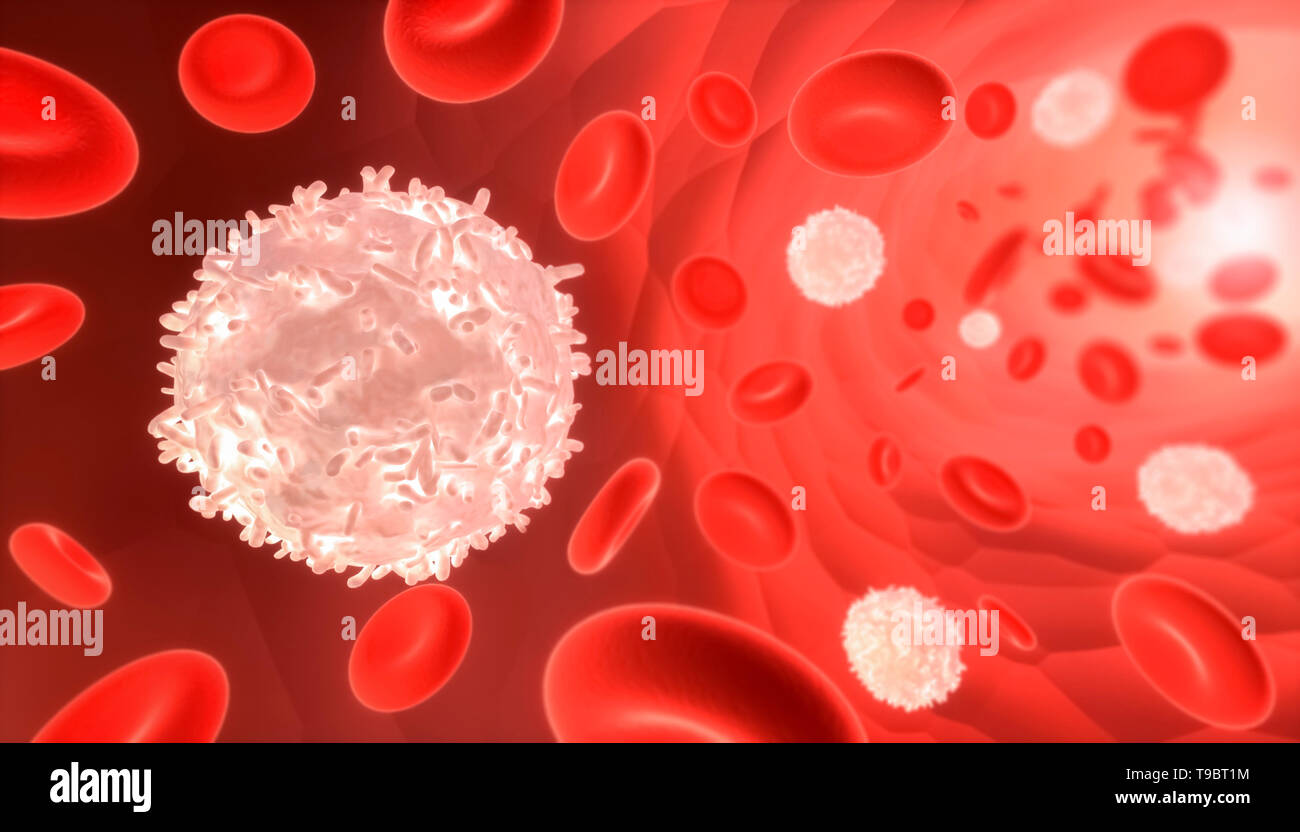 Il bianco e il rosso le cellule del sangue che fluisce attraverso un vaso sanguigno. Medicina e biologia 3D render illustrazione. Foto Stock