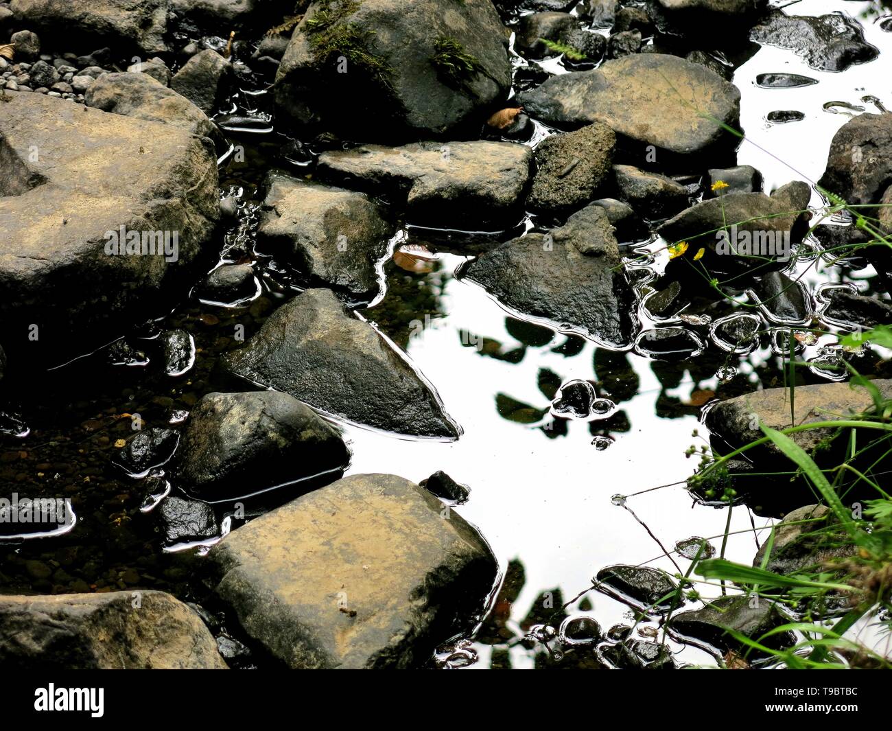 Esecuzione di acqua in un ruscello, altopiani, Scozia. Foto Stock