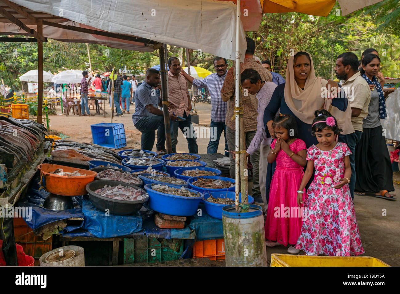 Vista orizzontale dei bambini squirming presso il mercato del pesce di Fort Kochi, India. Foto Stock