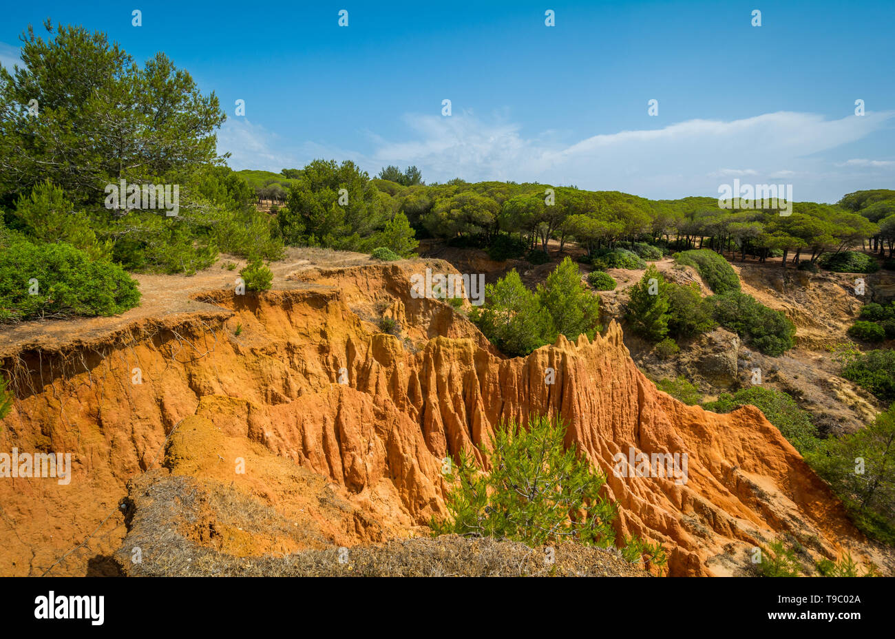 Le formazioni rocciose a Praia da Falesia, nei pressi di Albufeira. Algarve, Portogallo. Foto Stock