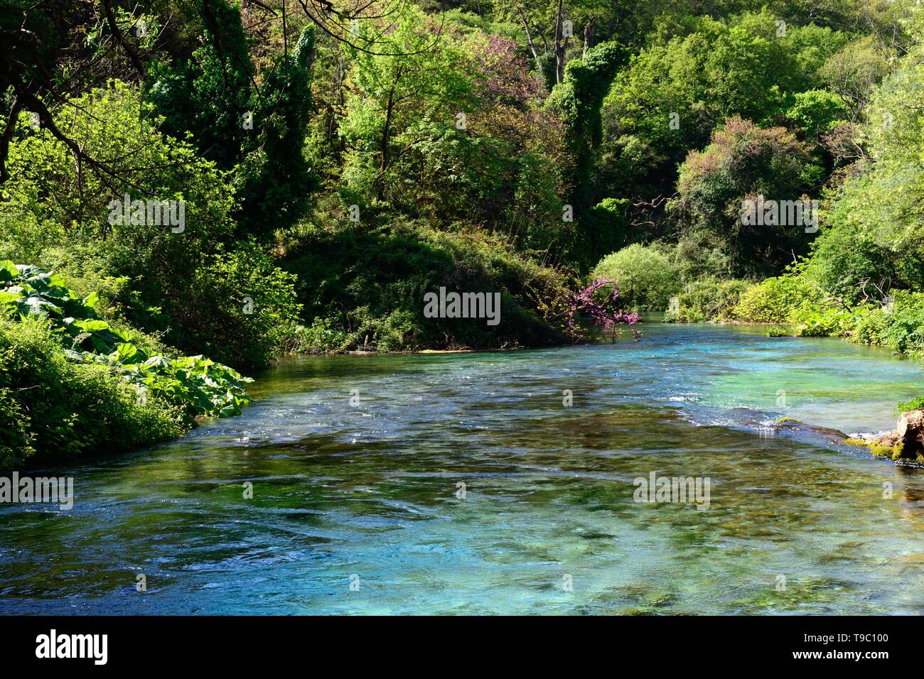 L'Occhio azzurro piscina molla carsico acqua primavera fenomeno naturale e sorgente del fiume Bistrice Albania Foto Stock