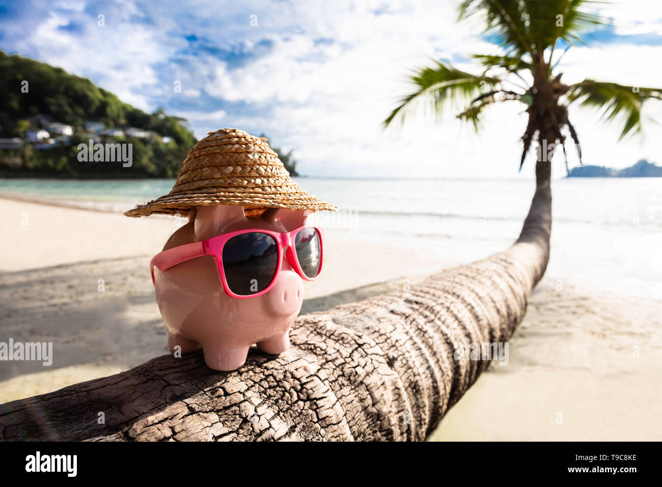 Close-up di Rosa Piggybank con gli occhiali da sole sul tronco di albero in spiaggia Foto Stock