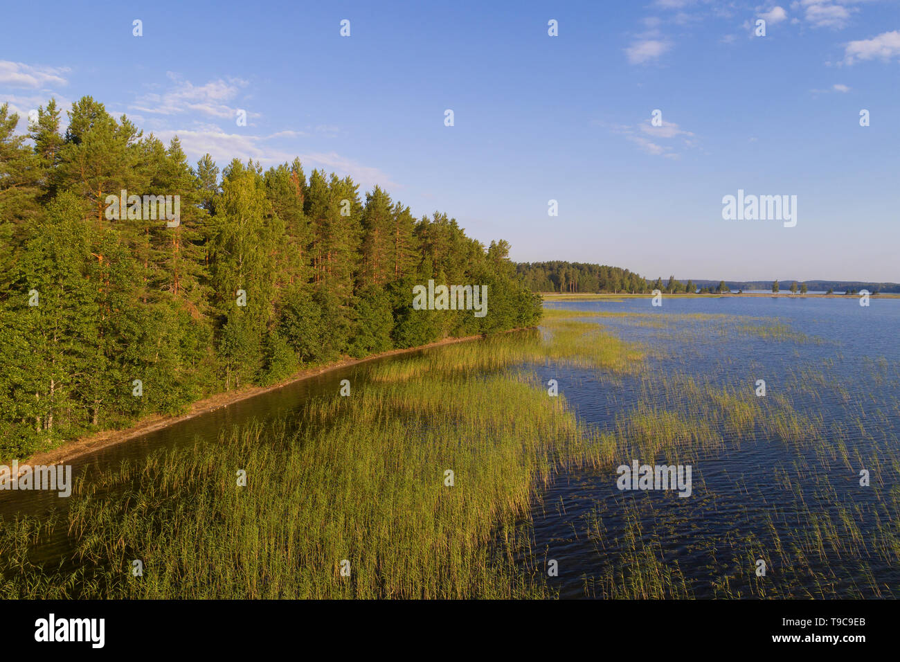 Luglio Mattina sul Lago Tuunaansalmi (ripresa da un quadcopter). Finlandia Foto Stock