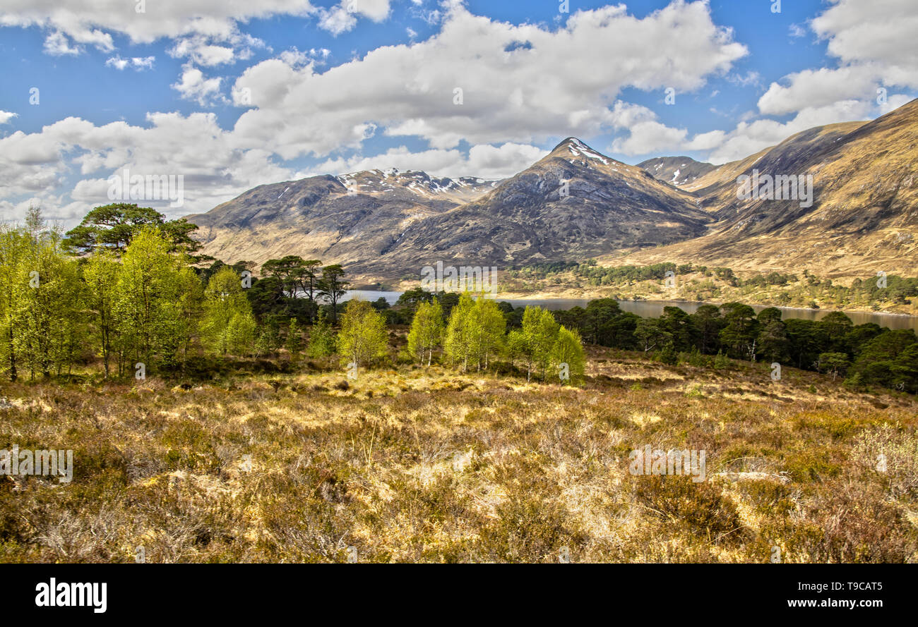 Impressione delle Highlands scozzesi e Loch Affric in Scozia Foto Stock