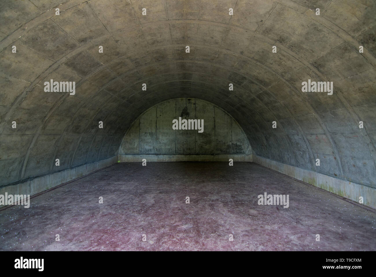 All'interno di uno dei vecchi bunker di munizioni della seconda Guerra Mondiale (anche conosciuto come igloo) presso la prateria di erba di TALTWIN, Wilmington, Illinois. Foto Stock