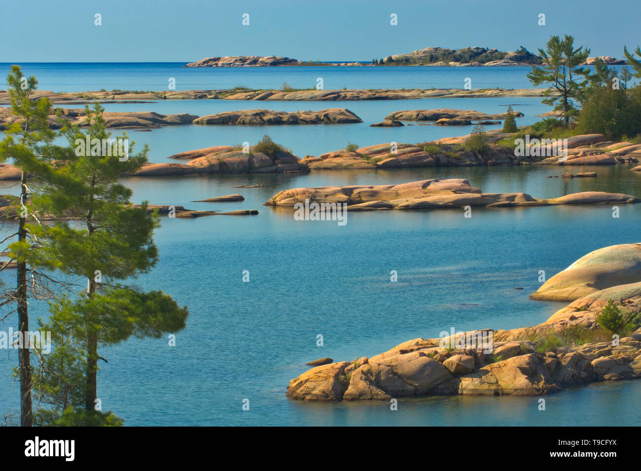 Precambrian Shield roccia lungo Georgian Bay (Lago Huron) Killarney Provincial Park Ontario Canada Foto Stock