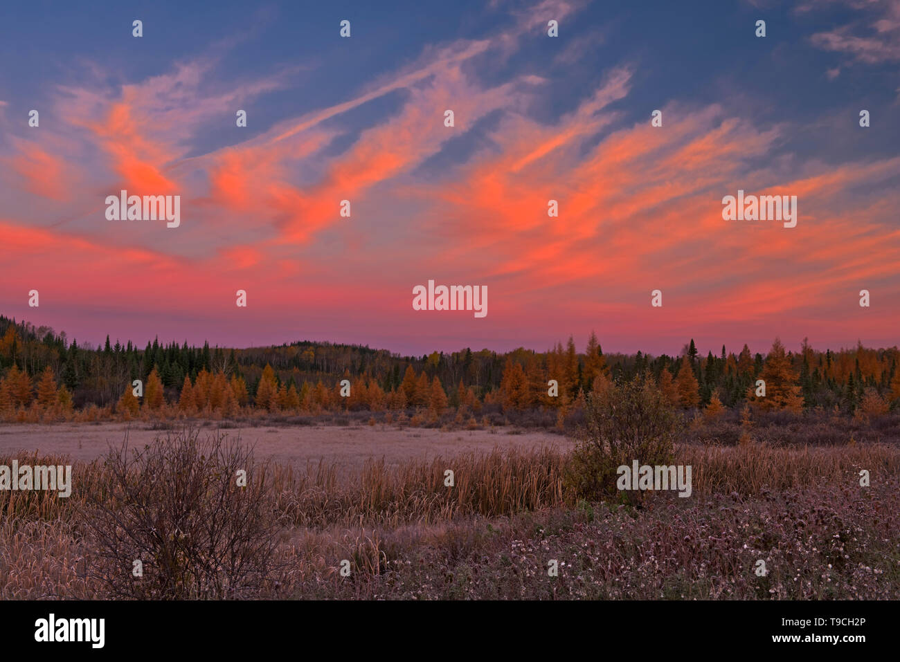 Nuvole al tramonto su wetland Kakabeka Falls Provincial Park, Ontario, Canada Foto Stock