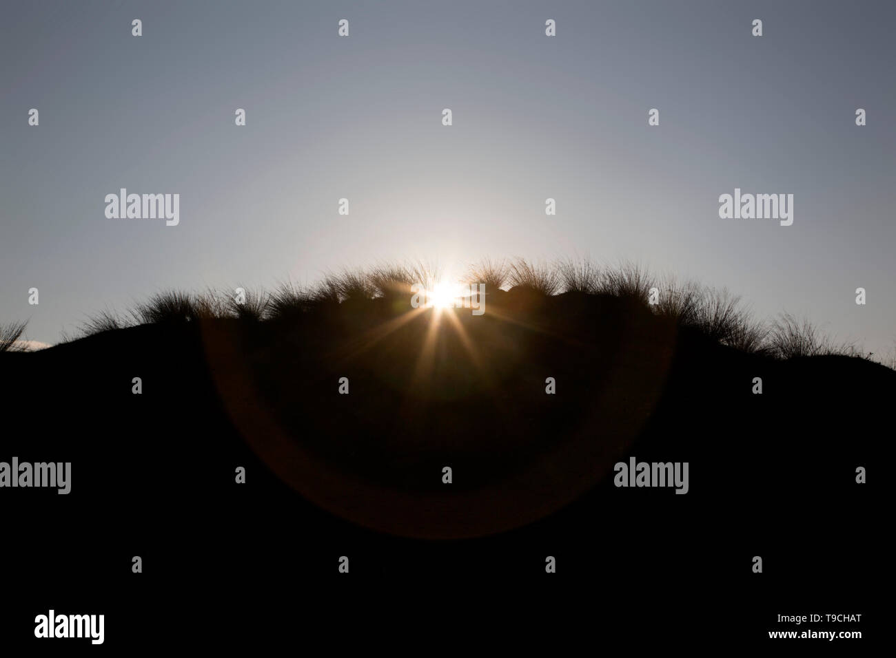 Sotto la mattina ( o eventualmente di sera) sky le dune sabbiose si stagliano, orlata da loro erba pungenti e sun prorompe dietro di loro. Foto Stock