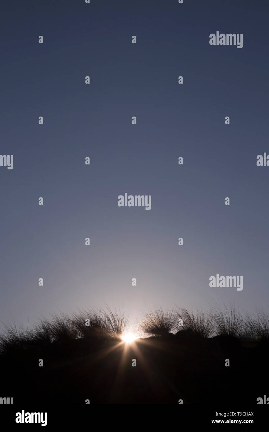 Sotto la mattina ( o eventualmente di sera) sky le dune sabbiose si stagliano, orlata da loro erba pungenti e sun prorompe dietro di loro. Foto Stock