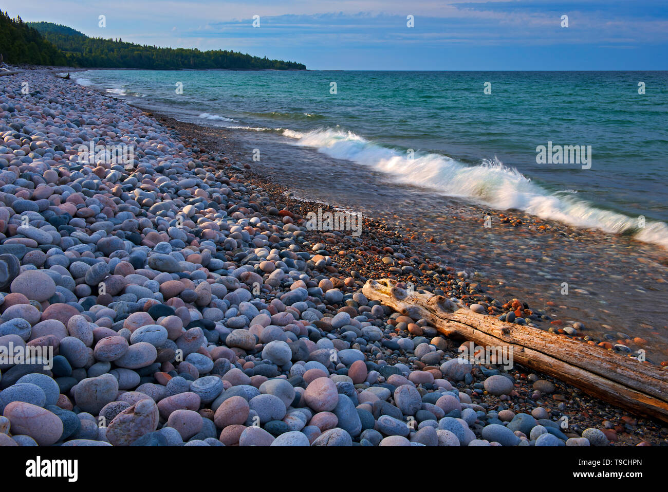 Rocce e driftwood sulla spiaggia di ciottoli. Lago Superiore. Maratona Ontario Canada Foto Stock