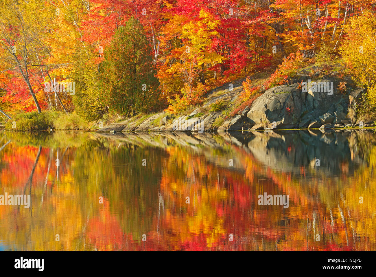 I colori autunnali e Precambrian Shield rock riflessa nel lago di Simone Simon Lake Park Area di Conservazione di Ontario Canada Foto Stock