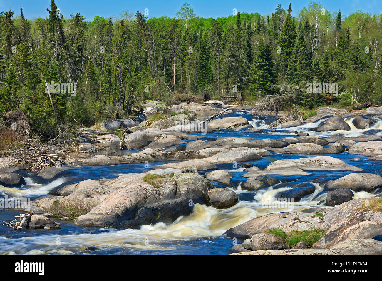 Wenosaga Rapids sul fiume Wenosaga orecchio Falls Ontario Canada Foto Stock
