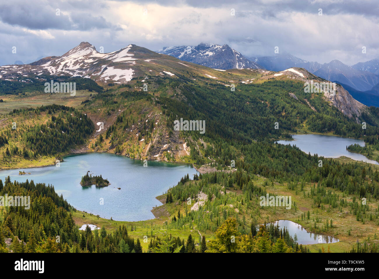 Isola di roccia Lago (sinistra) e Lago Laryx (destro) nella regione alpina delle Montagne Rocciose Canadesi. Sunshine Meadows. Lo stato di Alberta in Canada Foto Stock