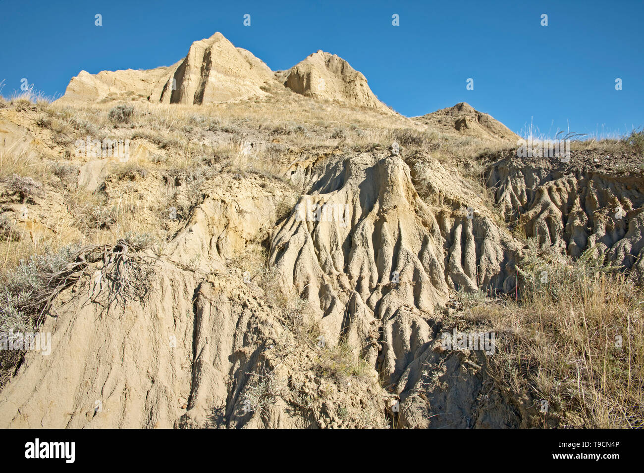 Badlands Avonlea Saskatchewan Canada Foto Stock