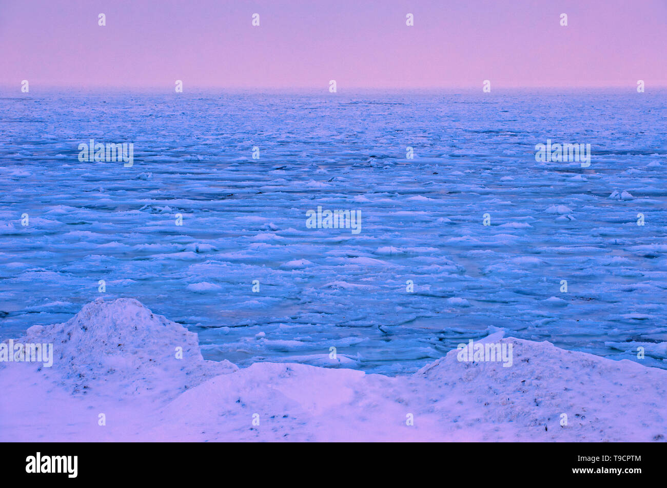Il ghiaccio congela, Baia di Hudson costa, subartiche, Churchill, Manitoba, Canada Foto Stock