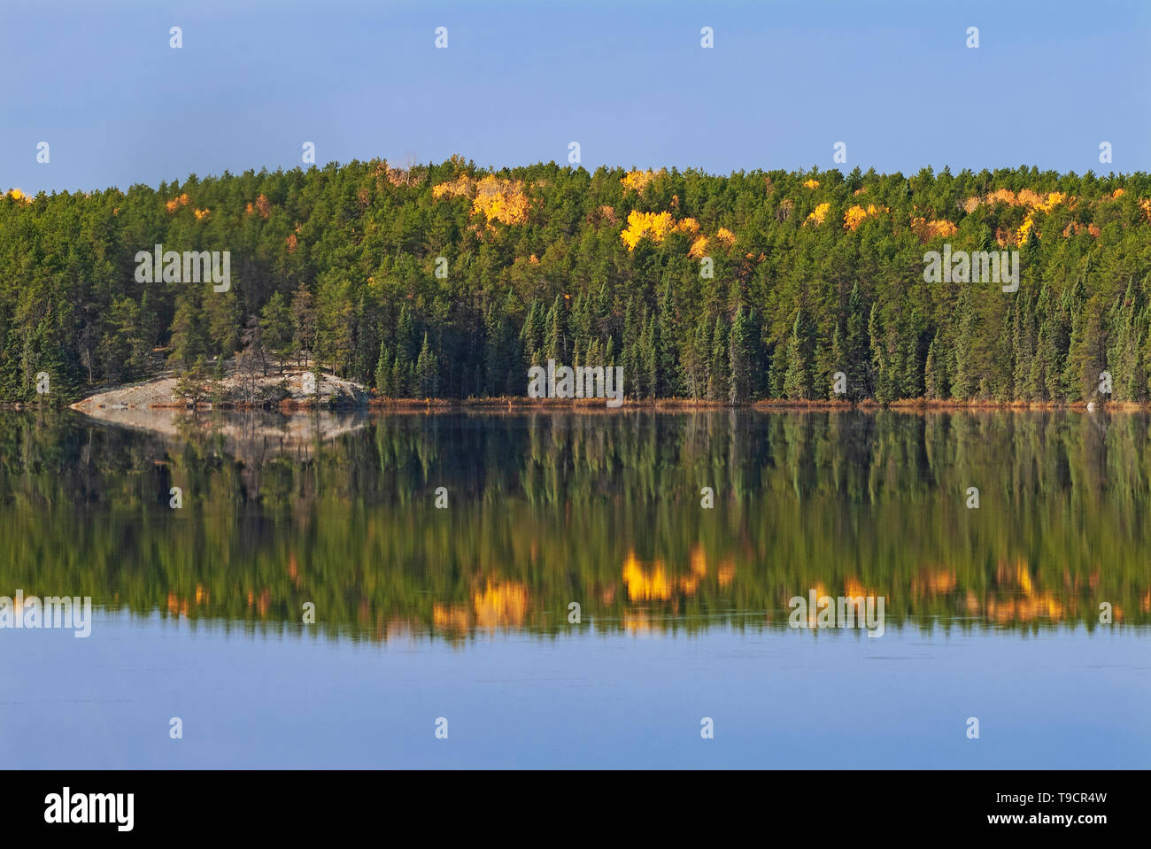 Autunno su grafico Lago Vicino Kenora Ontario Canada Foto Stock