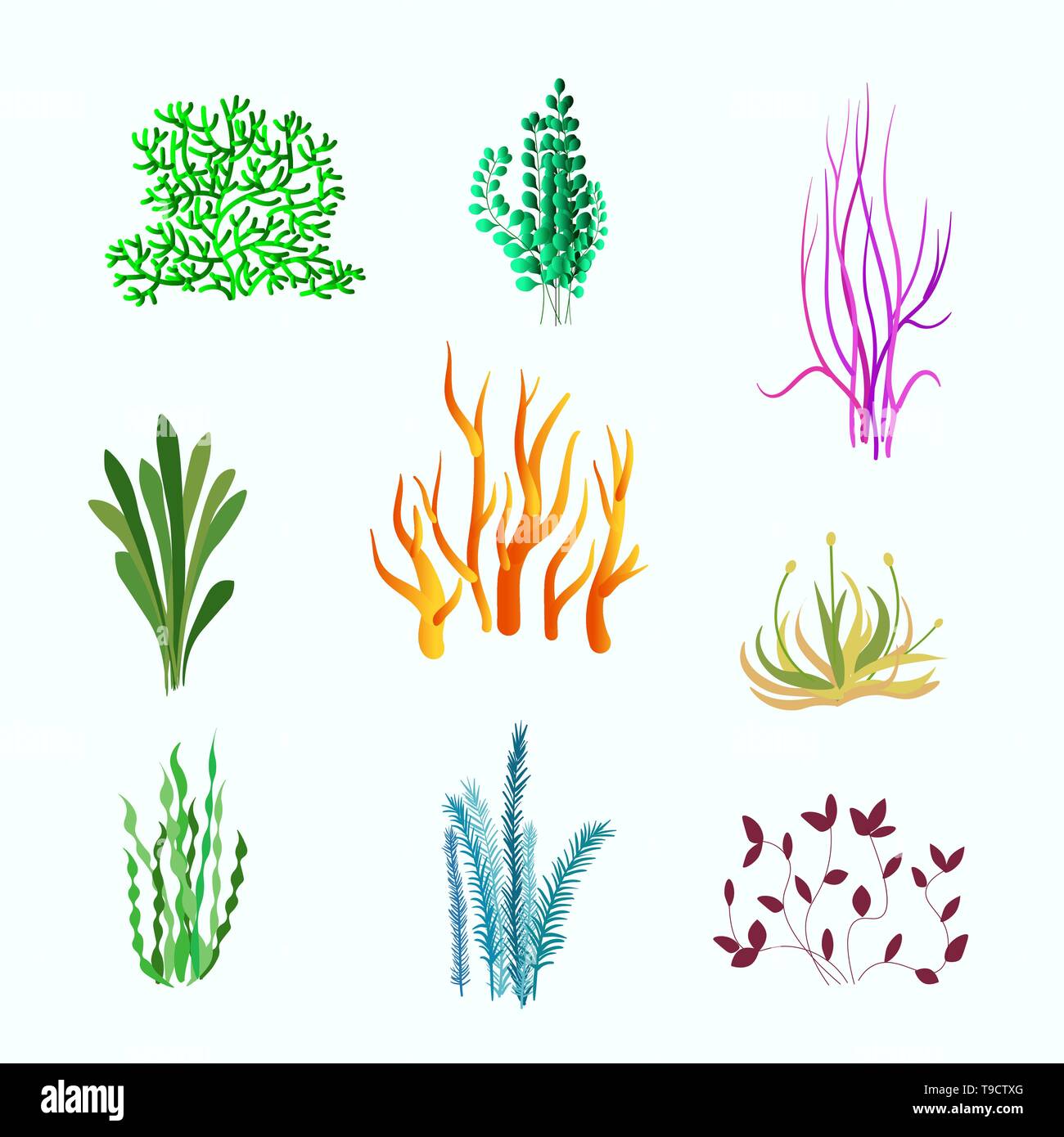 Set di vettore di piante sottomarine. Impianto di subacquea, oceano mare e impianto per Aquarium Illustrazione Vettoriale