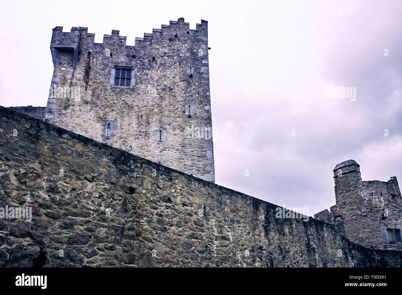 Guardando in su alla casa torre del 15th ° secolo del castello di Ross a Lough Leane, Killarney, Irlanda Foto Stock