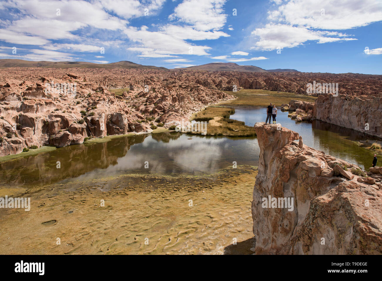 Parte superiore del mondo magico nascosto Laguna Negra Valle del Salar de Uyuni, Bolivia Foto Stock