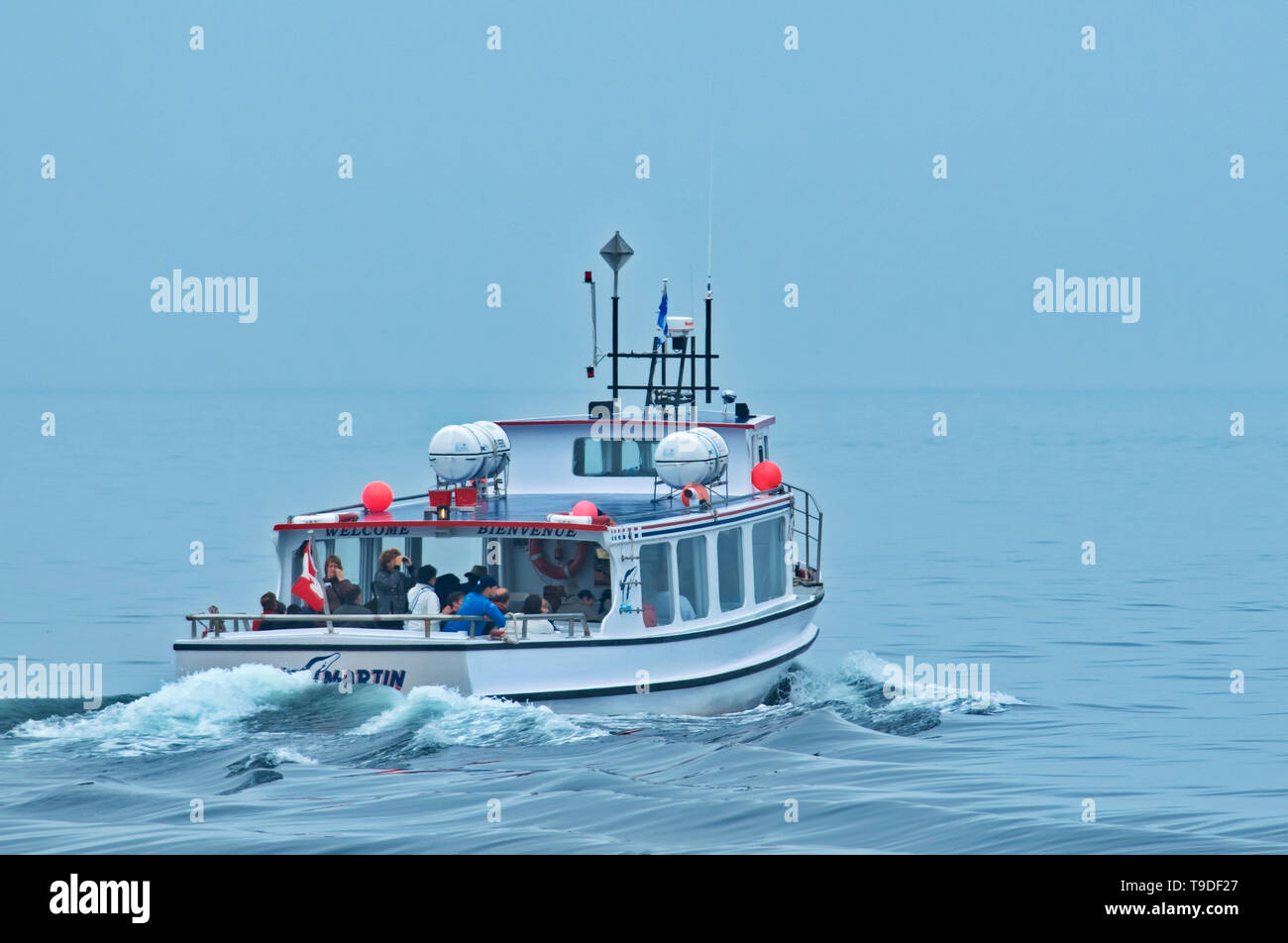 Traversata in traghetto e l'Oceano Atlantico prendendo i passeggeri a Bonaventura isola alla fine della penisola di Gaspe, Quebec, Canada Foto Stock