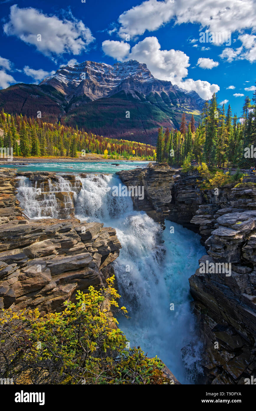 Athabasca River a Cascate Athabasca. Canada Montagne rocciose del Parco Nazionale di Jasper Alberta Canada Foto Stock