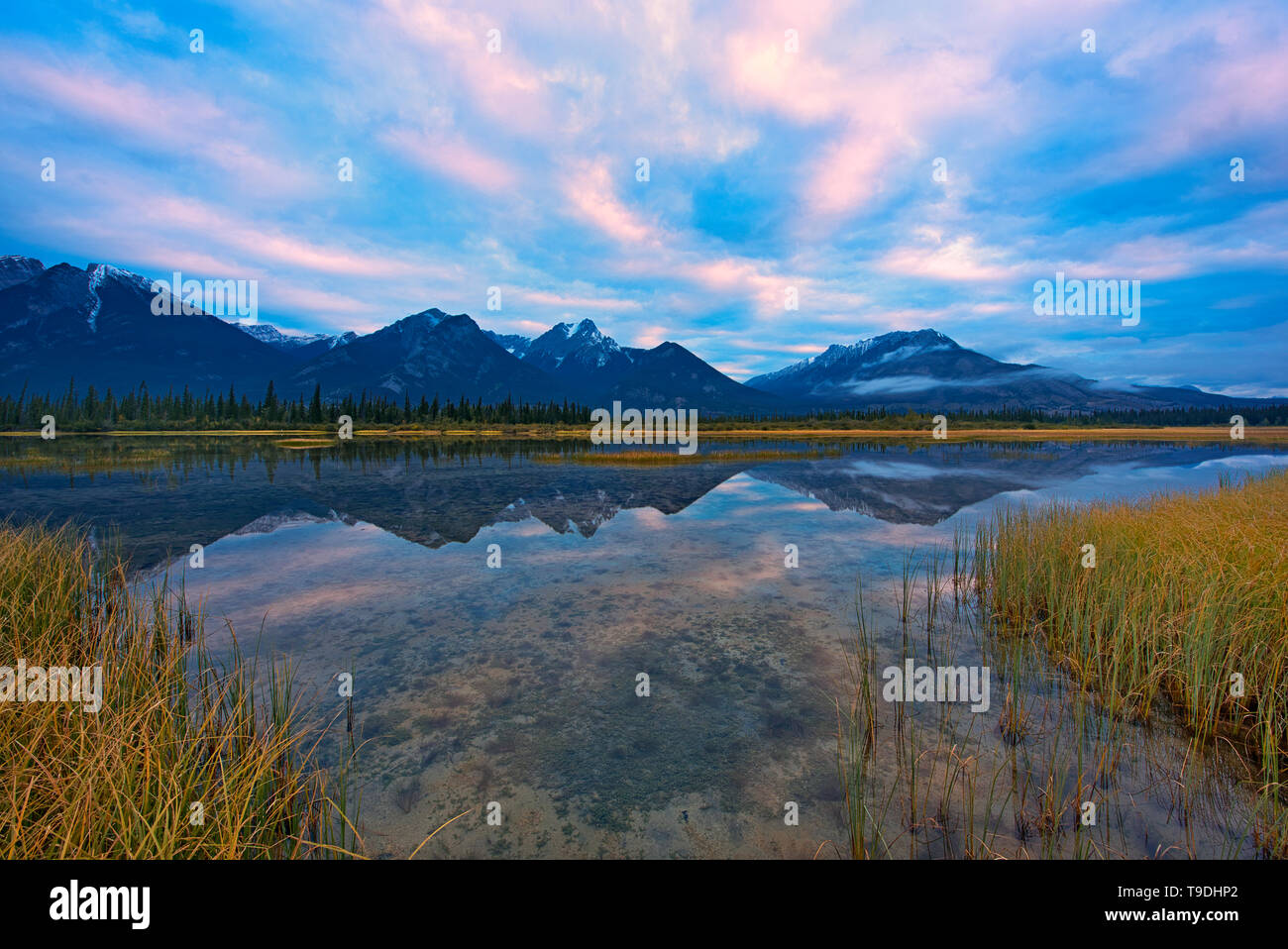 Lago di Jasper, Athabasca River, il Parco Nazionale di Jasper, Alberta, Canada Foto Stock