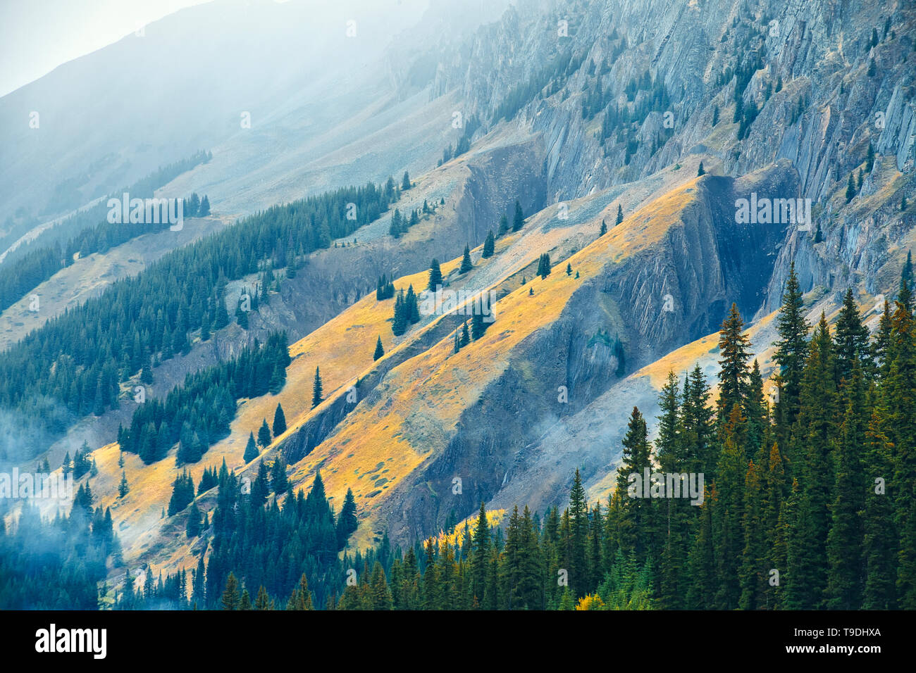 Nevicata e i colori autunnali nelle Montagne Rocciose Canadesi Kananaskis Country Alberta Canada Foto Stock