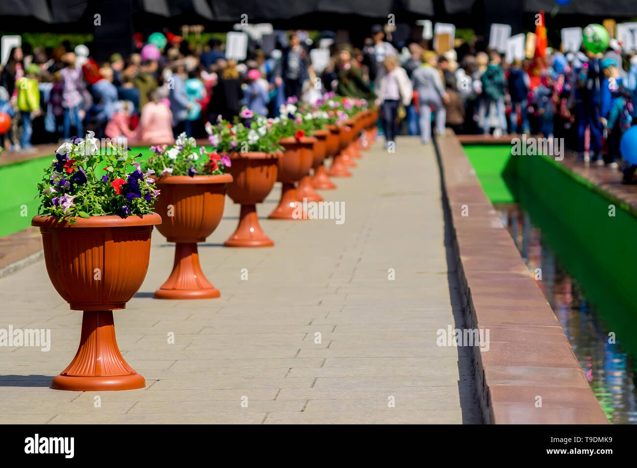 Vasi di fiori sono fissati in una fila su un grande pietre monumento in memoria degli eroi caduti della guerra sfondo una folla di persone con poster Foto Stock