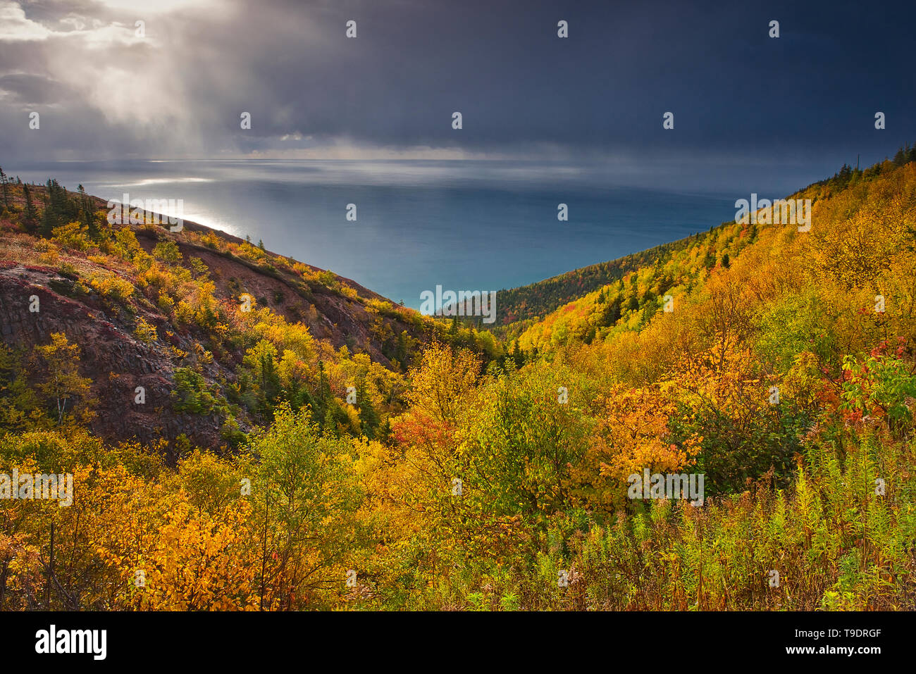 Acadian foresta nel fogliame di autunno lungo la Cabot stretto a Cape Smokey, Cape Breton Highlands National Park, Nova Scotia, Canada Foto Stock