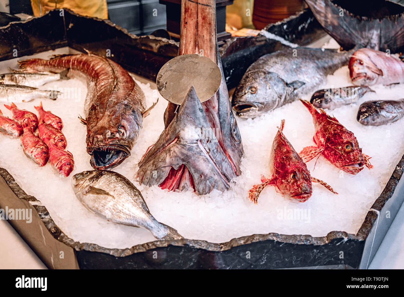 Piatti a base di frutti di mare freschi sul ghiaccio tritato al mercato del pesce. Pesce fresco testa con ganasce aperte. Molte varietà di pesce fresco e frutti di mare - la scelta migliore per una sana e Foto Stock
